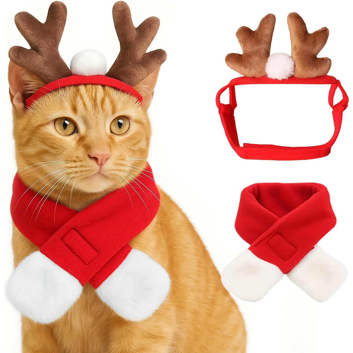 Cat wearing a reindeer costume with antlers and a scarf on a white background