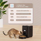 Cat eating from a black pet feeder with a schedule on the wall indicating feeding times.
