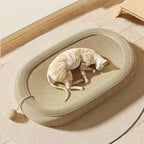 Cat lying on a round, woven pet bed in a minimalistic room.