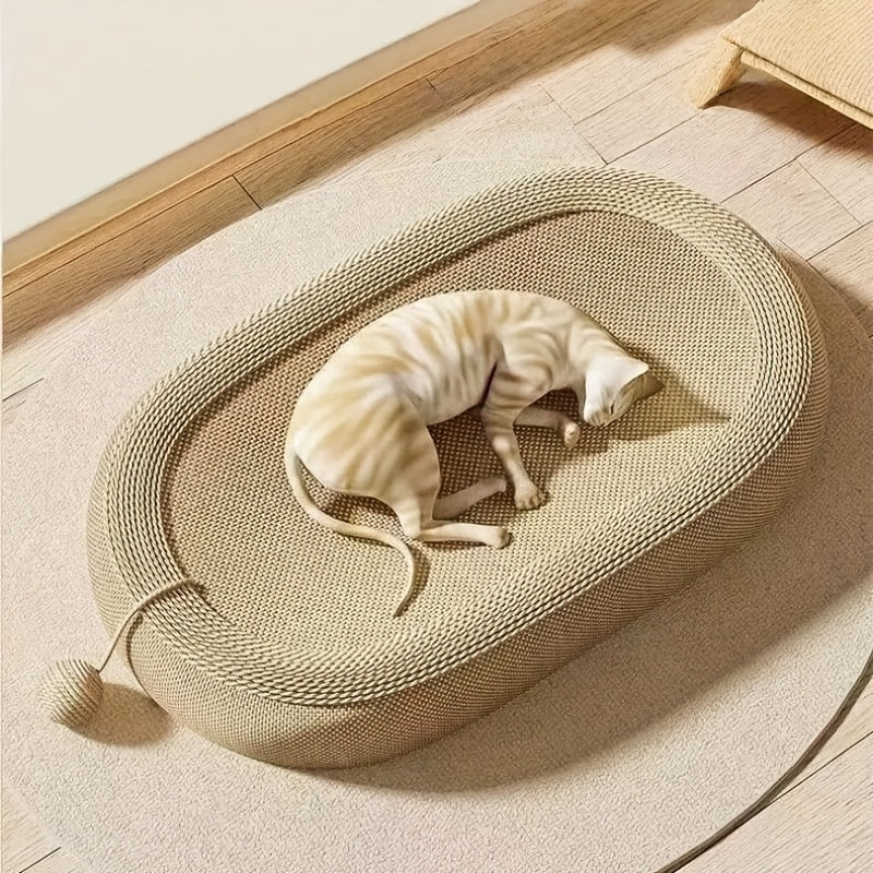 Cat lying on a round, woven pet bed in a minimalistic room.