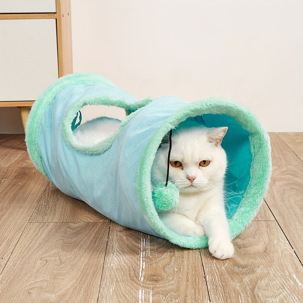 White cat inside a teal and green tunnel on a wooden floor