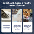 The AquaWhisk Fountain