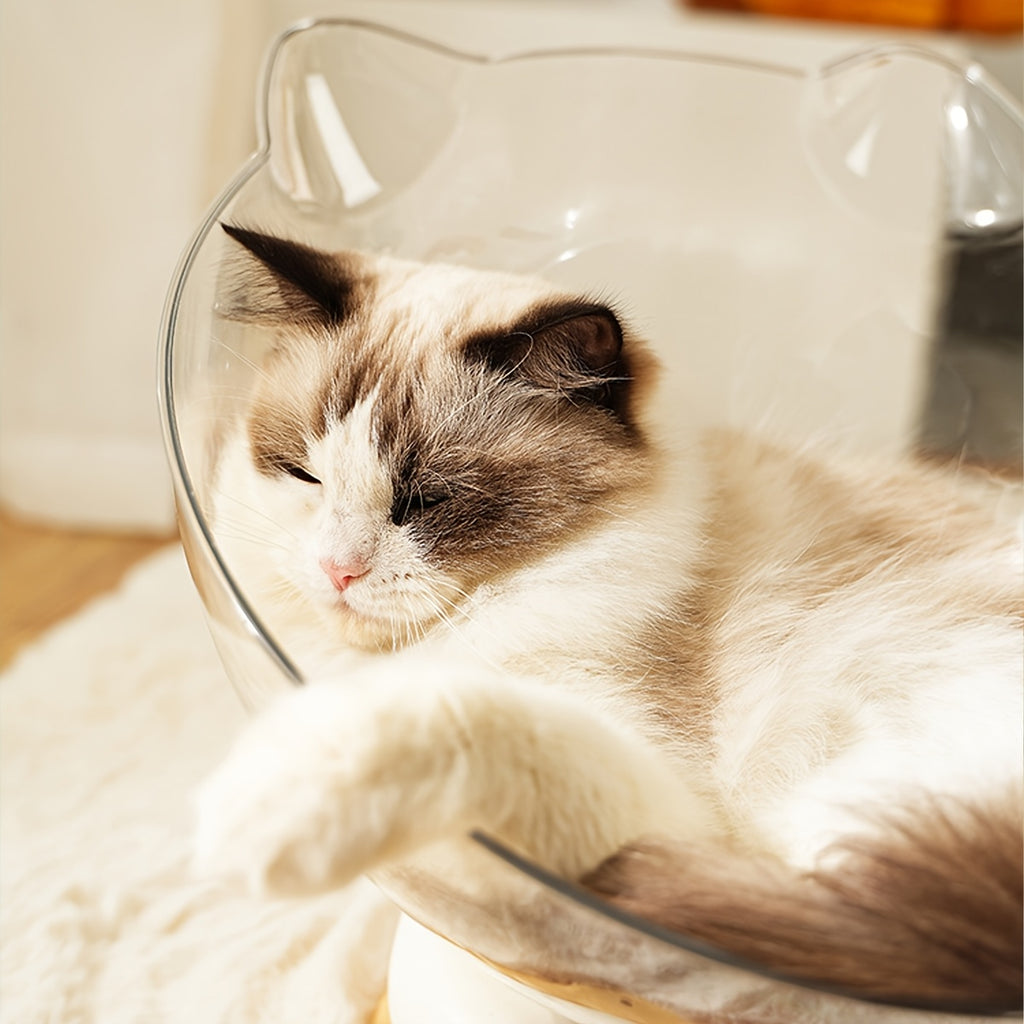 Cat lying on a glass bowl with a soft focus background