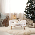 Cat on a small white chair in a living room with a Christmas tree and presents.