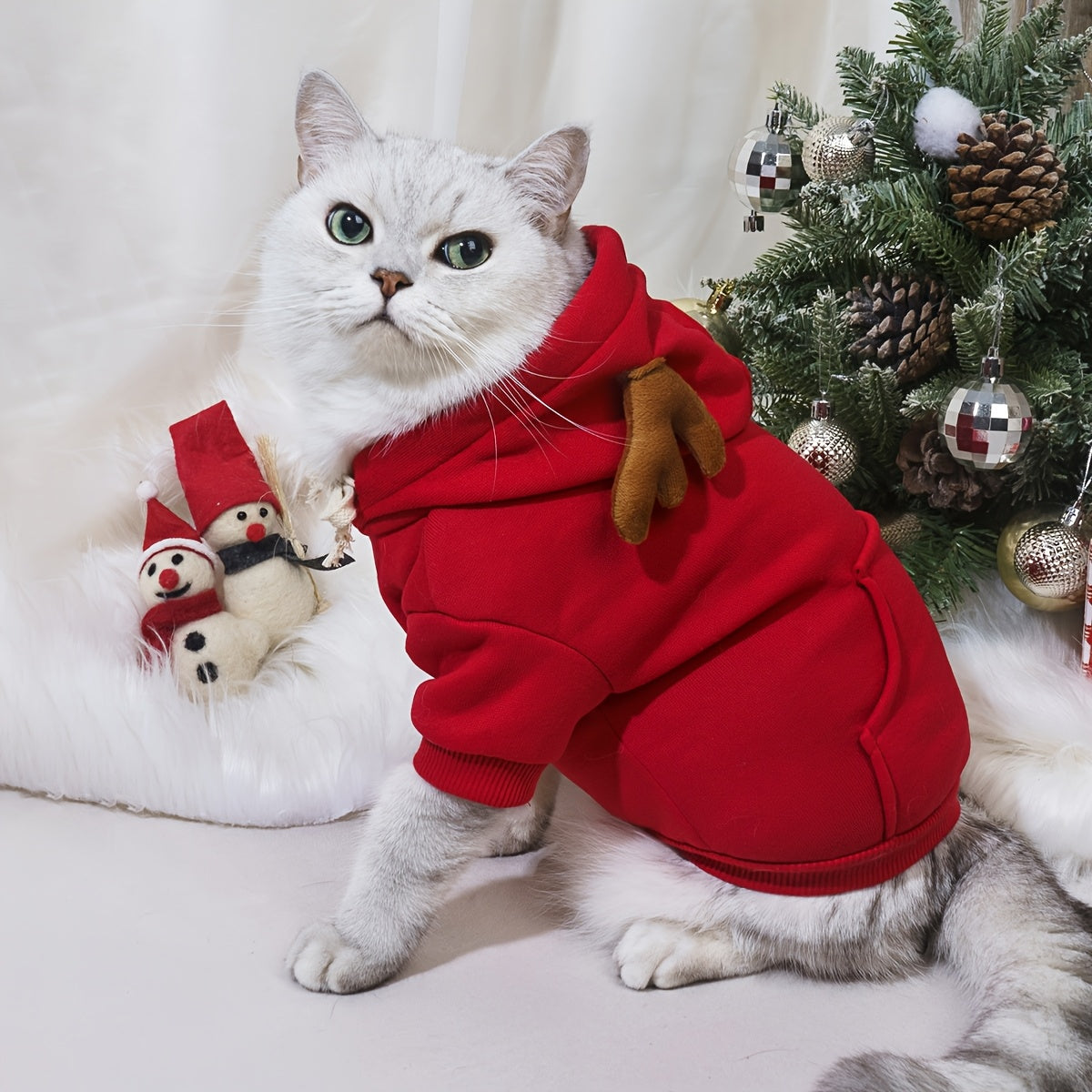 Cat wearing a red outfit with Christmas decorations in the background