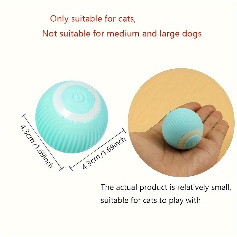 Small blue ball with white rim, suitable for cats, not for medium and large dogs