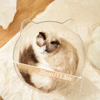 Cat lying inside a transparent circular pet bed with measurements on a soft surface.