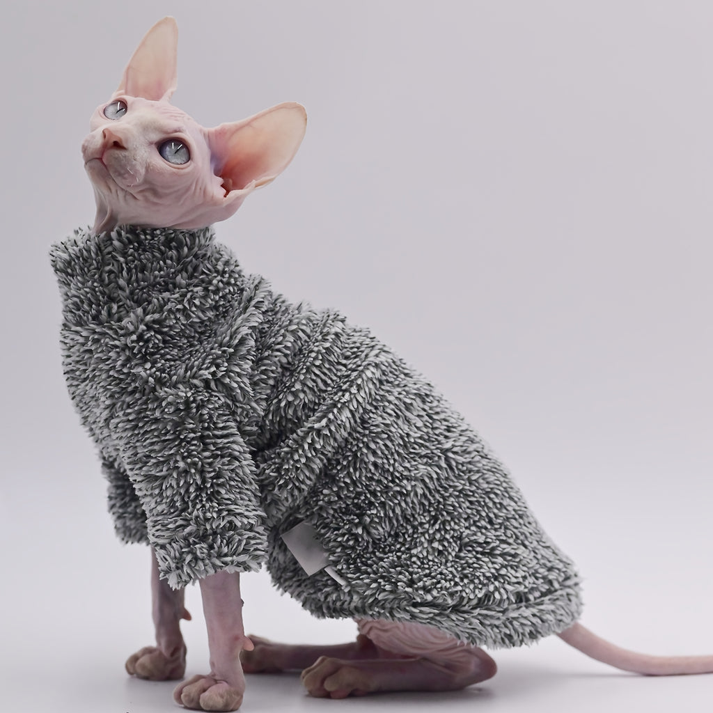 Sphynx cat wearing a textured gray sweater on a light gray background