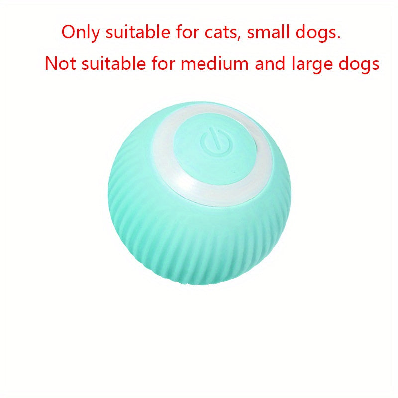 Turquoise ball with white rim on a white background, text indicating suitability for cats and small dogs only.