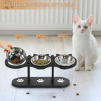 Cat sitting next to a three-tiered pet feeder with food, treat, and water bowls.