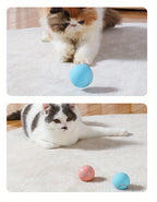 Two cats playing with colorful balls on a carpeted floor.