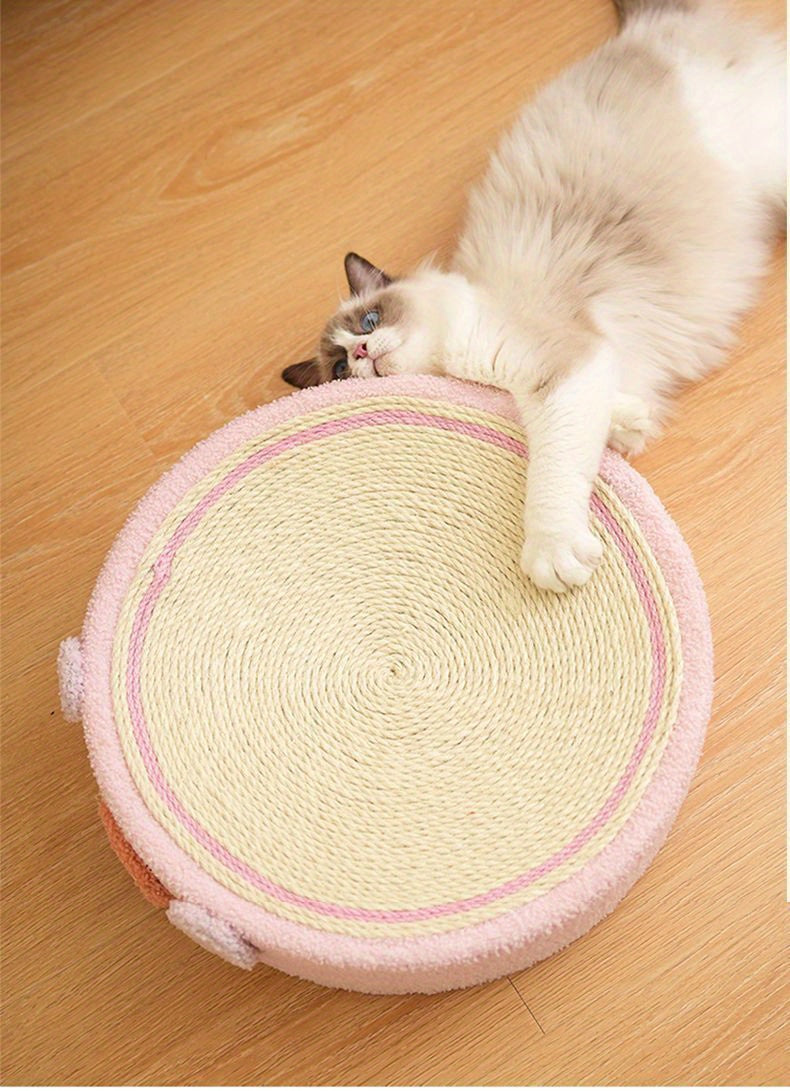 Cat lying on a round woven mat with pink trim on a wooden floor