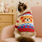 Cat wearing a colorful sweater with a bear design, sitting on a pink chair.