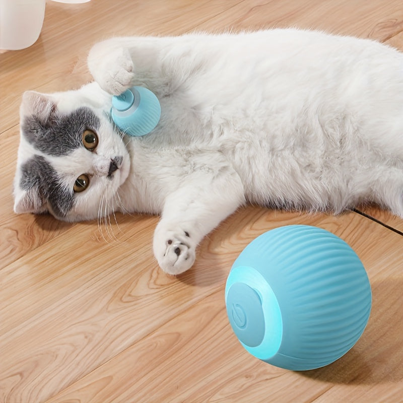 Cat playing with a blue ball on a wooden floor
