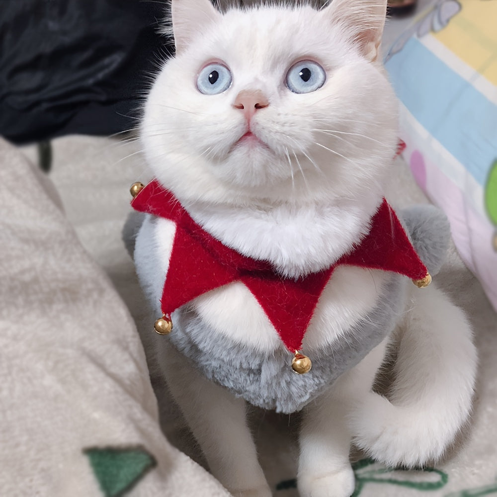 White cat with blue eyes wearing a red collar with gold bells on a soft surface.