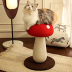 Cat sitting on a red and white cat tree in a home setting