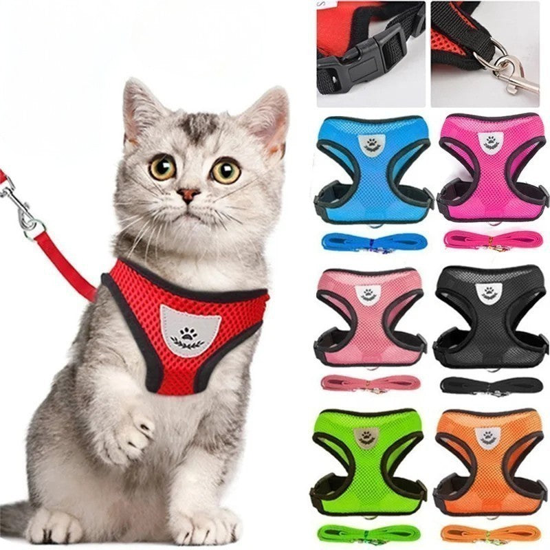 Cat wearing a red harness with various color options displayed on a white background