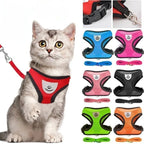 Cat wearing a red harness with various color options displayed on a white background