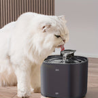 White cat drinking from a black pet fountain on a wooden floor.