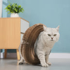 Cat using a cardboard wheel toy in a home setting
