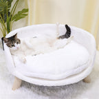 Cat lying on a white pet bed with a plant in the background