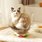 Cat sitting in a transparent cat-shaped pet bed on a soft surface.