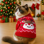 Cat wearing a red Christmas sweater with a reindeer design, sitting in a festive room with a tree and stockings.