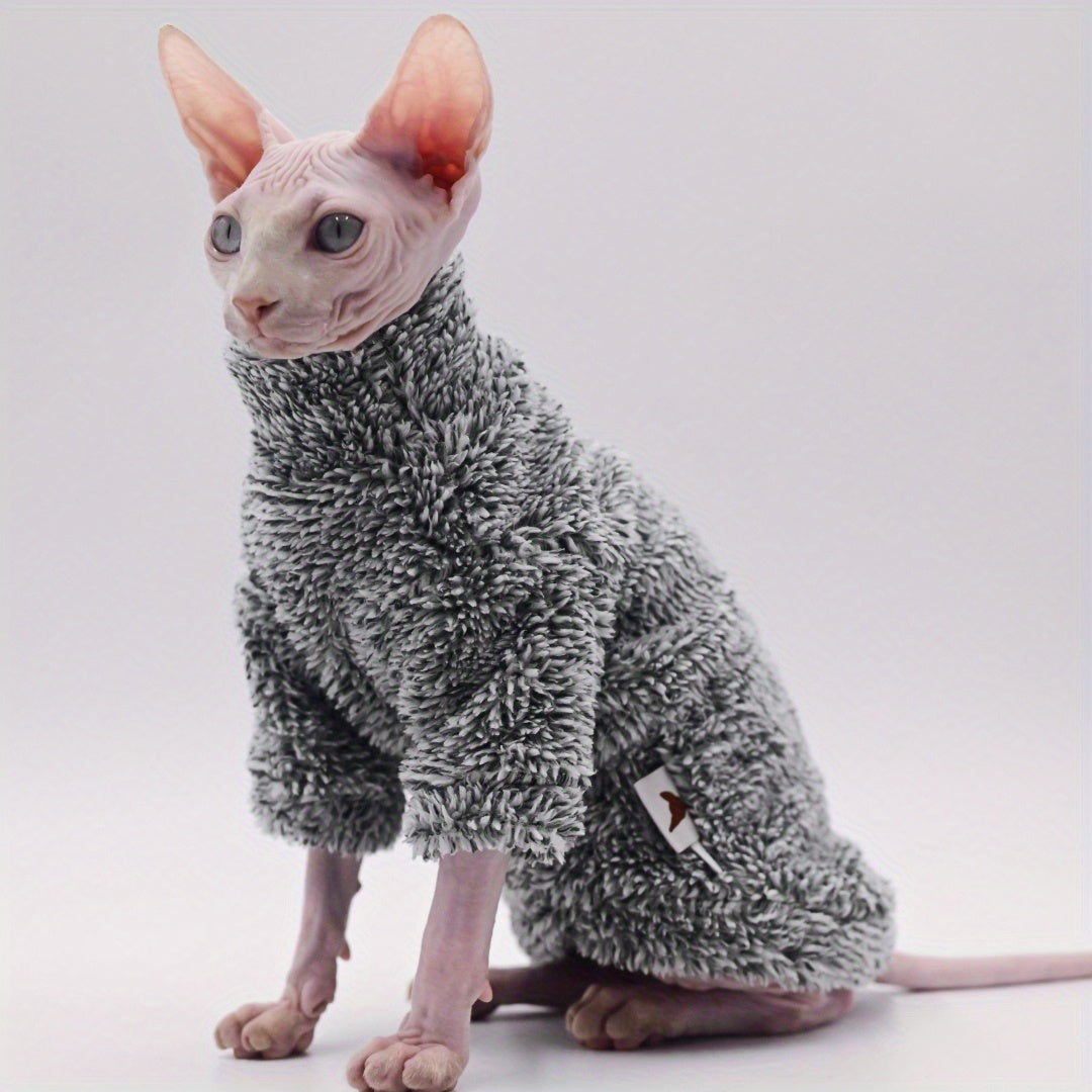 Sphynx cat wearing a textured gray sweater on a white background