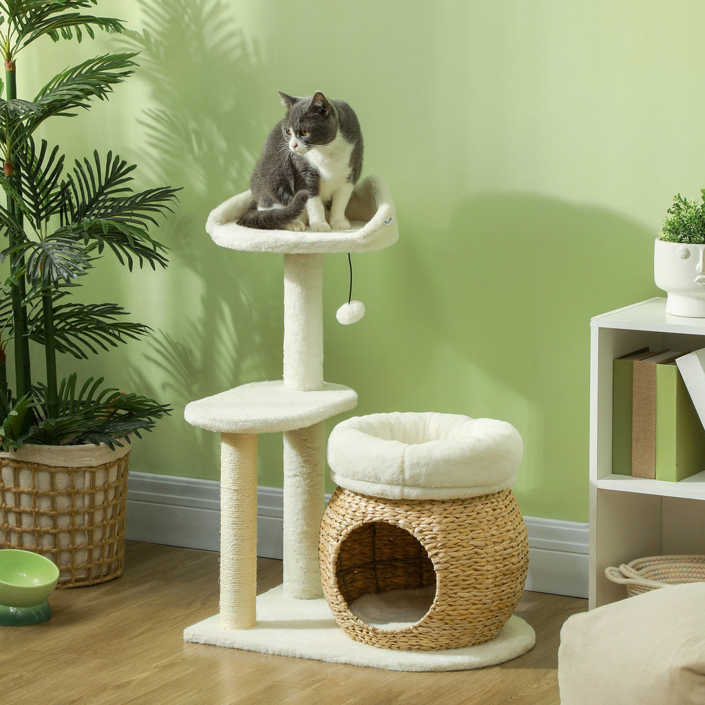 Cat sitting on a multi-level cat tree with a green wall and plants in the background
