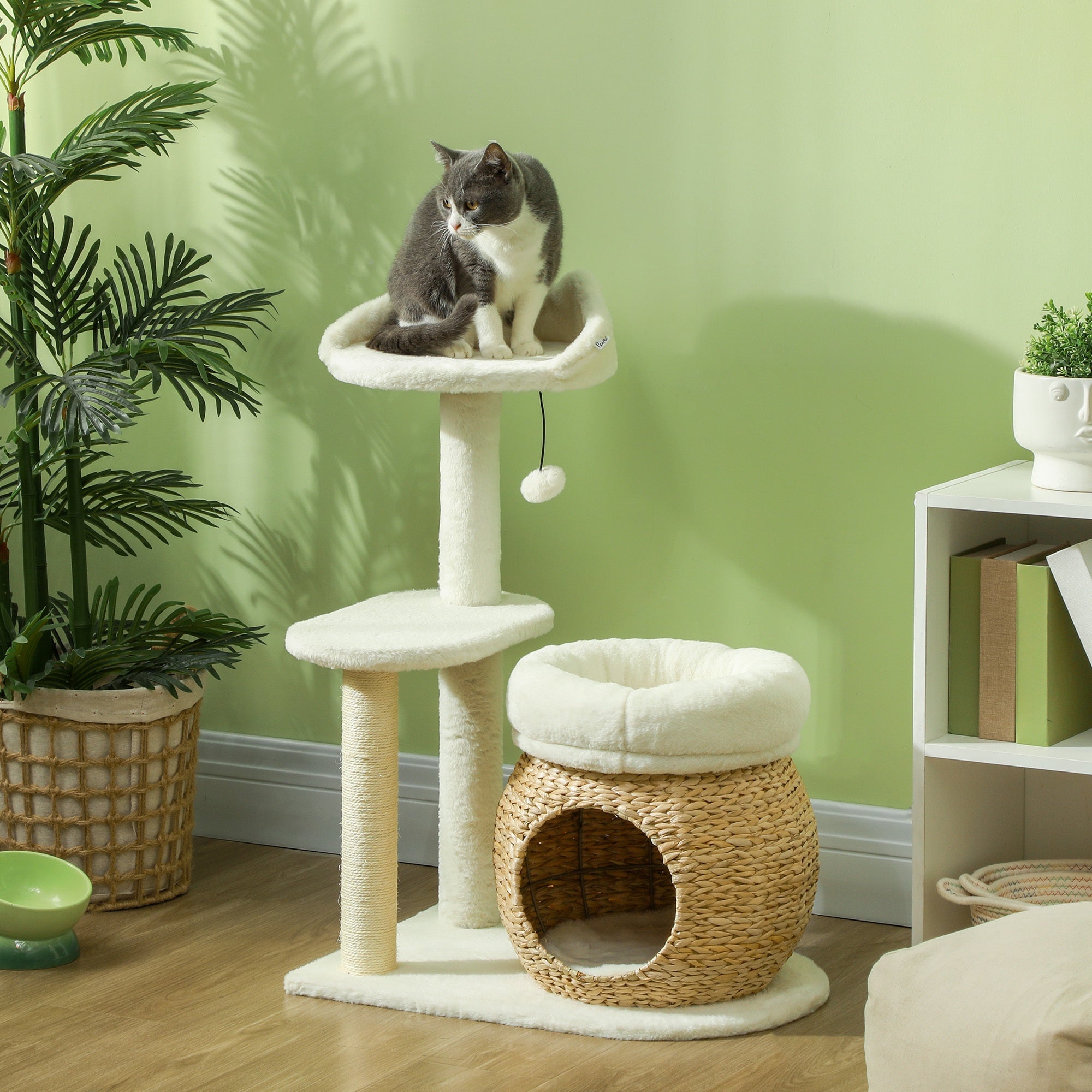 Cat sitting on a multi-level cat tree with a green wall and plants in the background