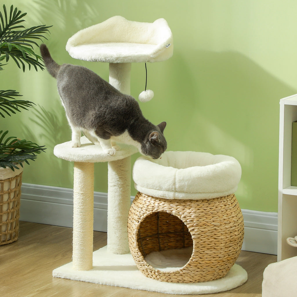 Cat climbing a multi-level cat tree with a green wall and plant in the background