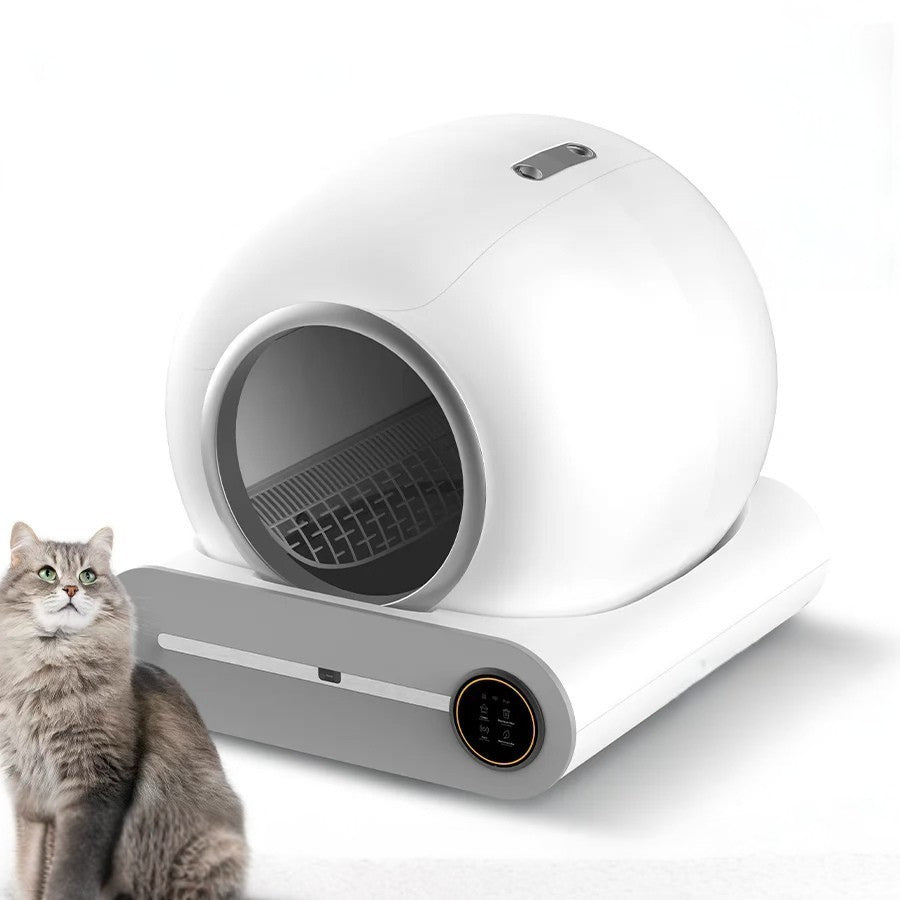 Modern cat litter box with a cat sitting next to it on a white background