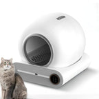 Modern cat litter box with a cat sitting next to it on a white background