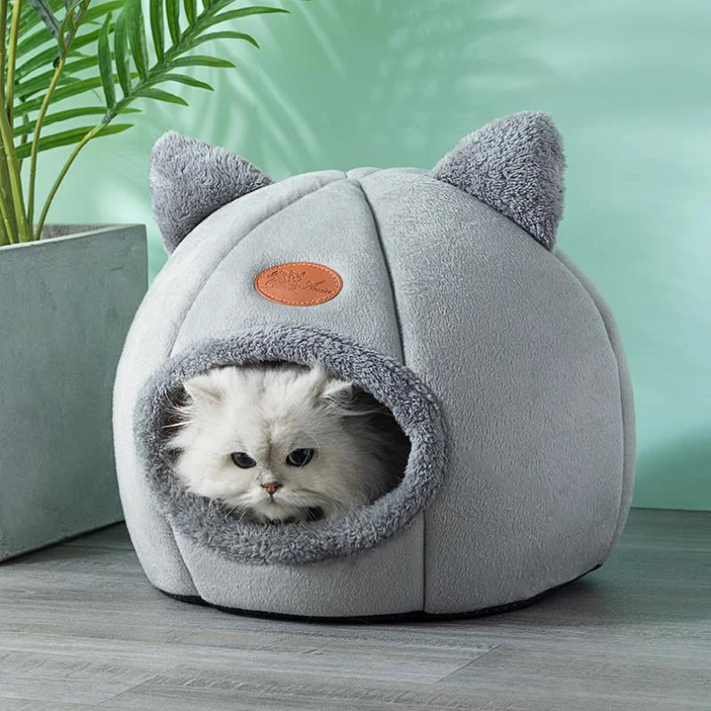 Gray pet bed with cat ears and a small white cat inside, on a wooden floor with a green plant in the background.