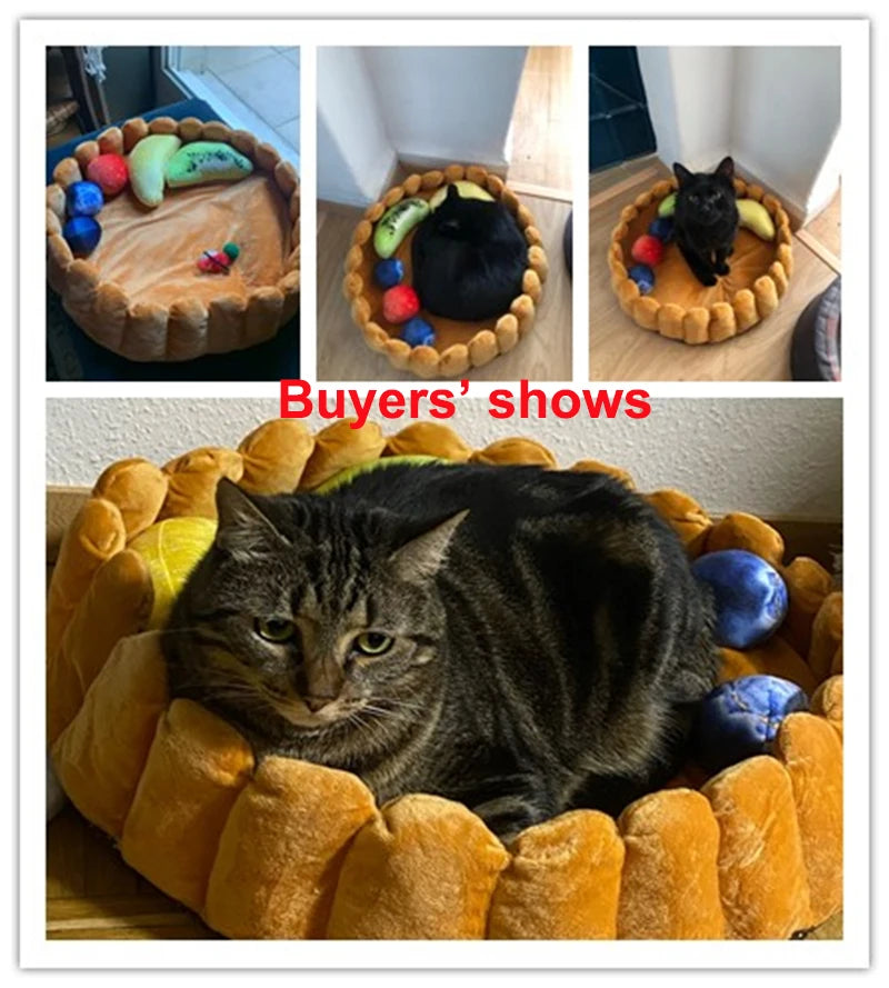 Purrfect Fruit Tart Bed