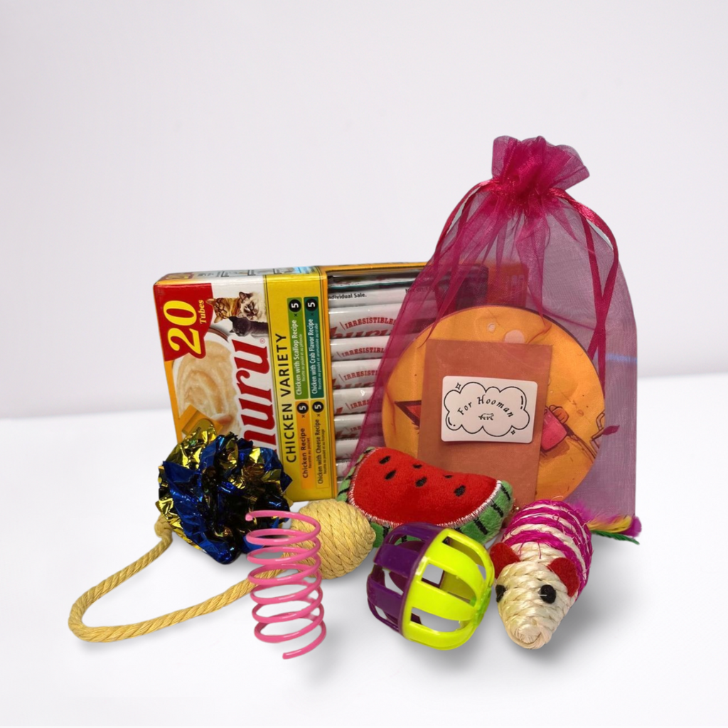 Assorted pet toys and treats on a white background