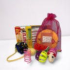 Assorted pet toys and treats on a white background