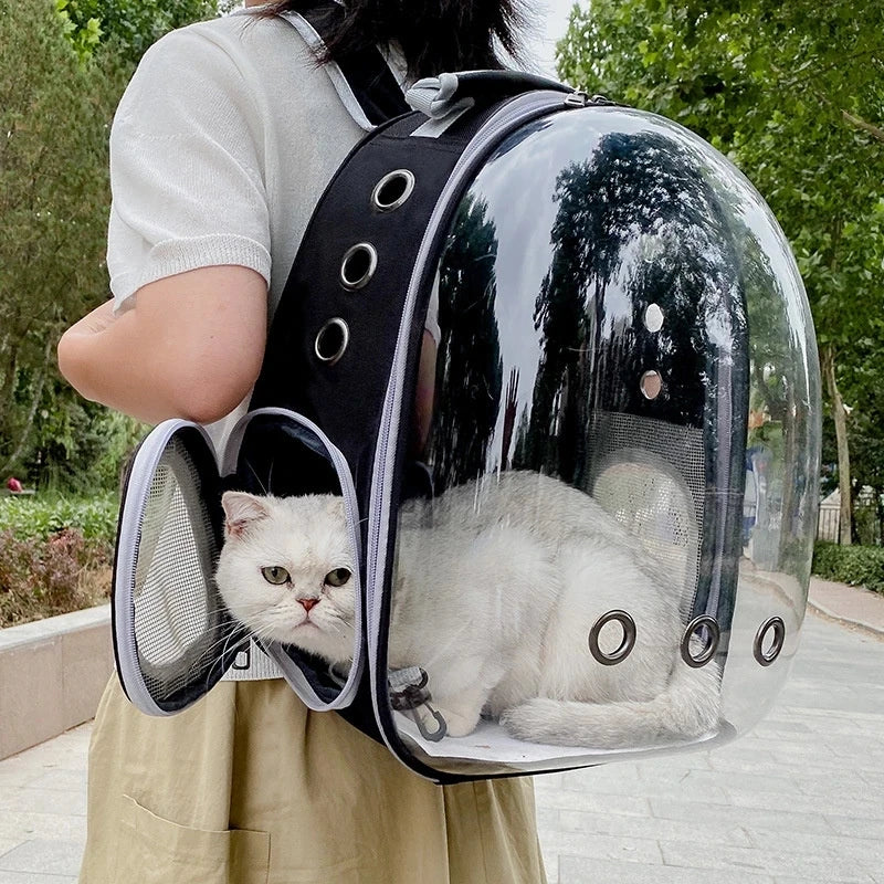 Person carrying a transparent pet backpack with a white cat inside, outdoors.