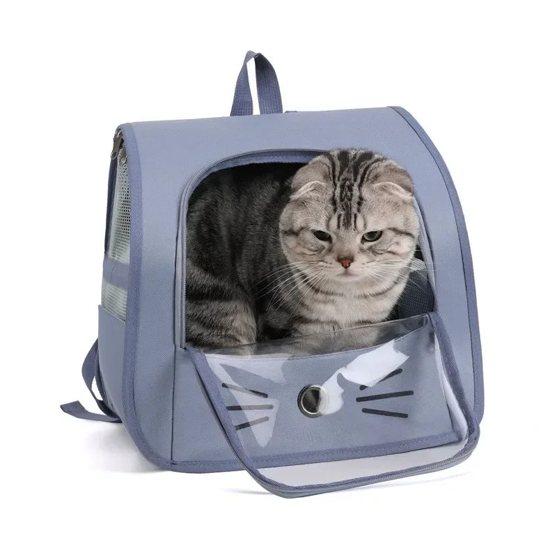 Cat in a transparent pet carrier with a gray exterior on a white background