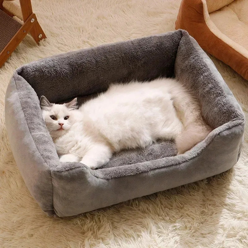 White cat lying in a gray pet bed on a beige carpet