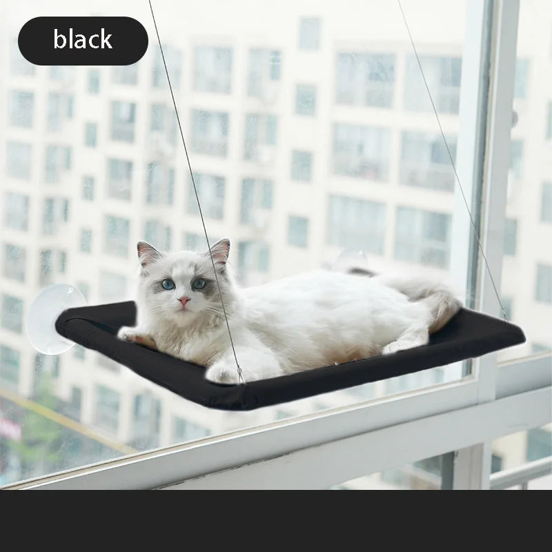 Cat lounging on a black window hammock with a cityscape background