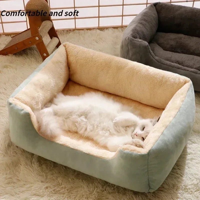 Pet bed with plush interior on a soft surface, labeled 'Comfortable and soft'.