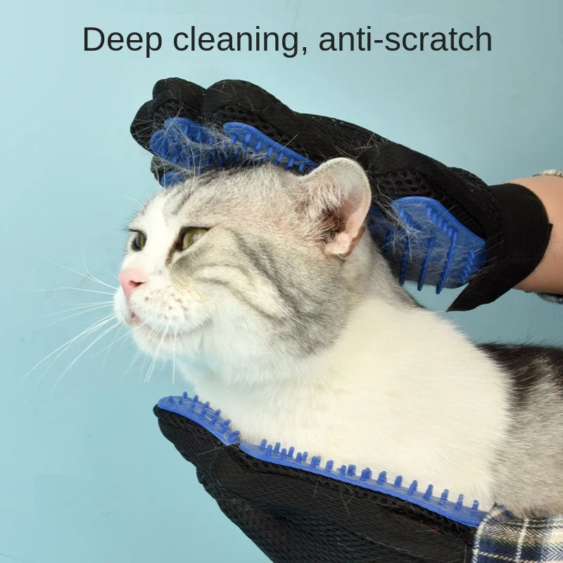 Cat being groomed with a blue grooming glove on a light blue background
