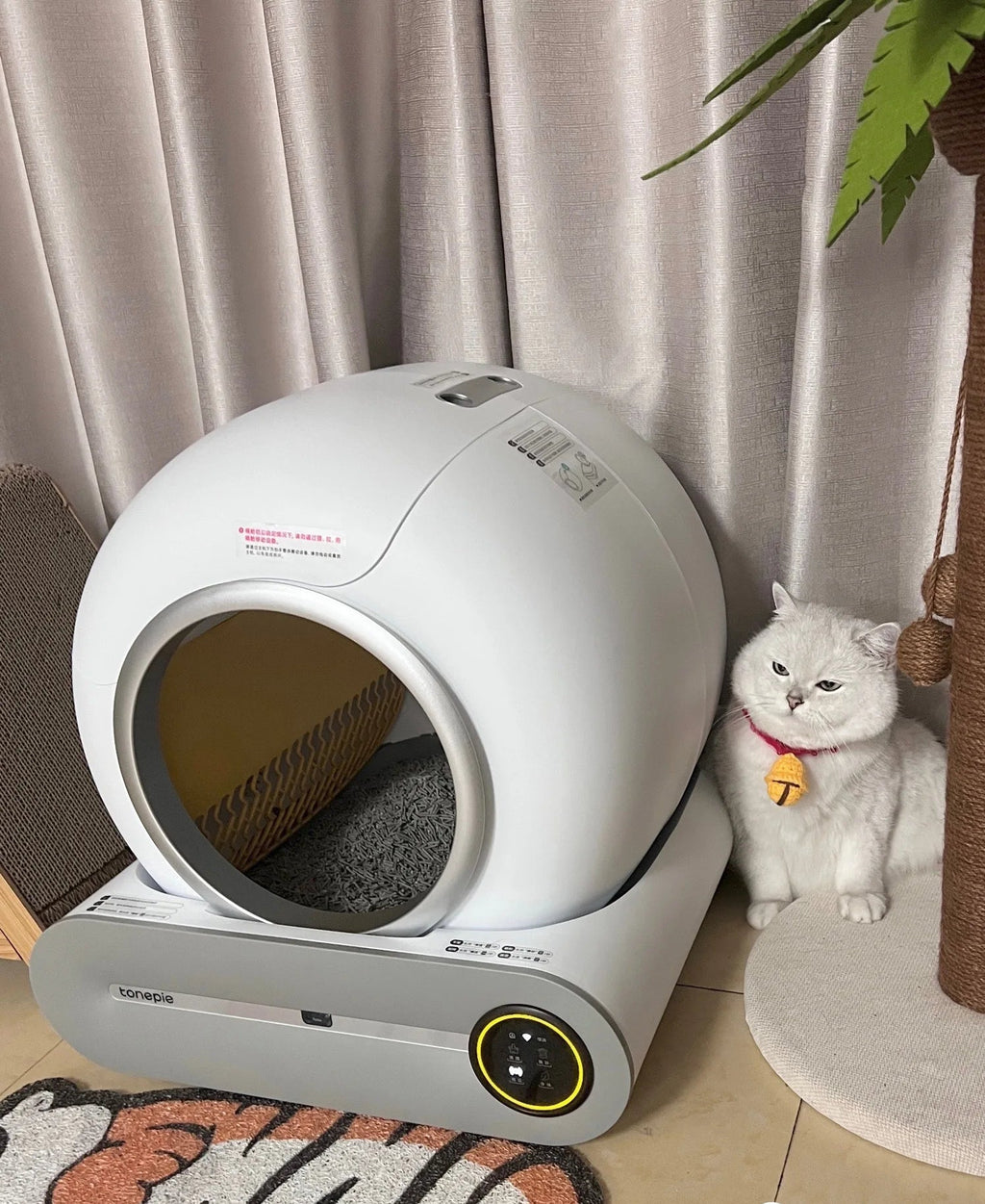Pet litter box with a cat sitting next to it on a carpeted floor.