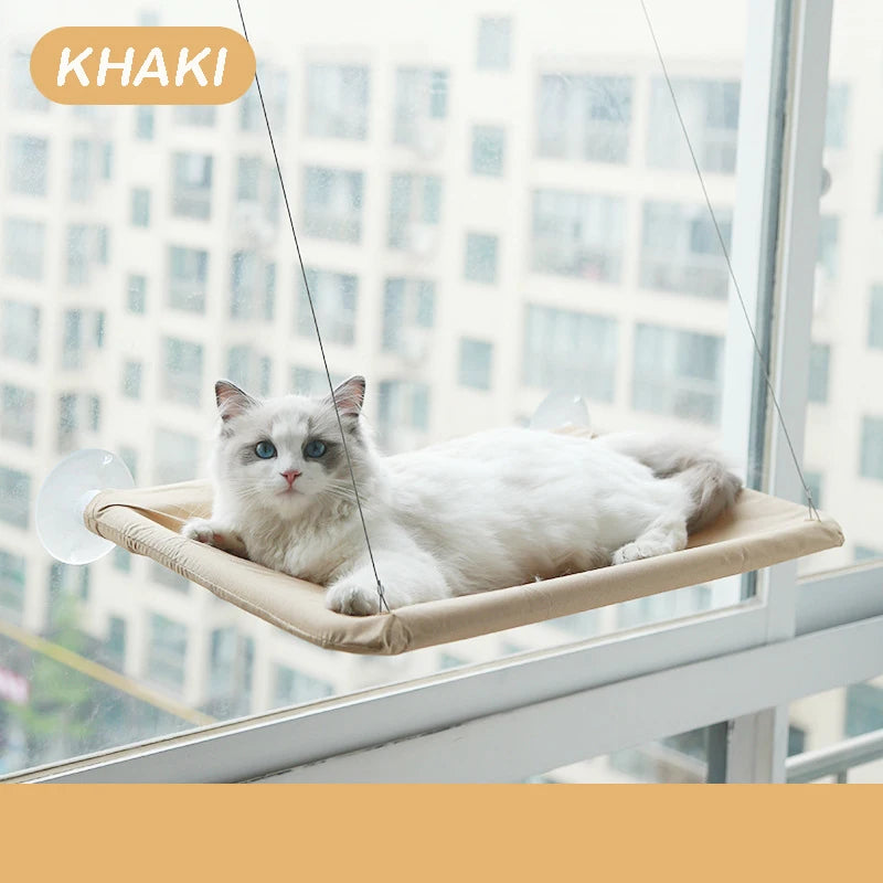 Cat lounging on a khaki window hammock with a cityscape background