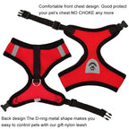 Red pet harness with black straps on a white background