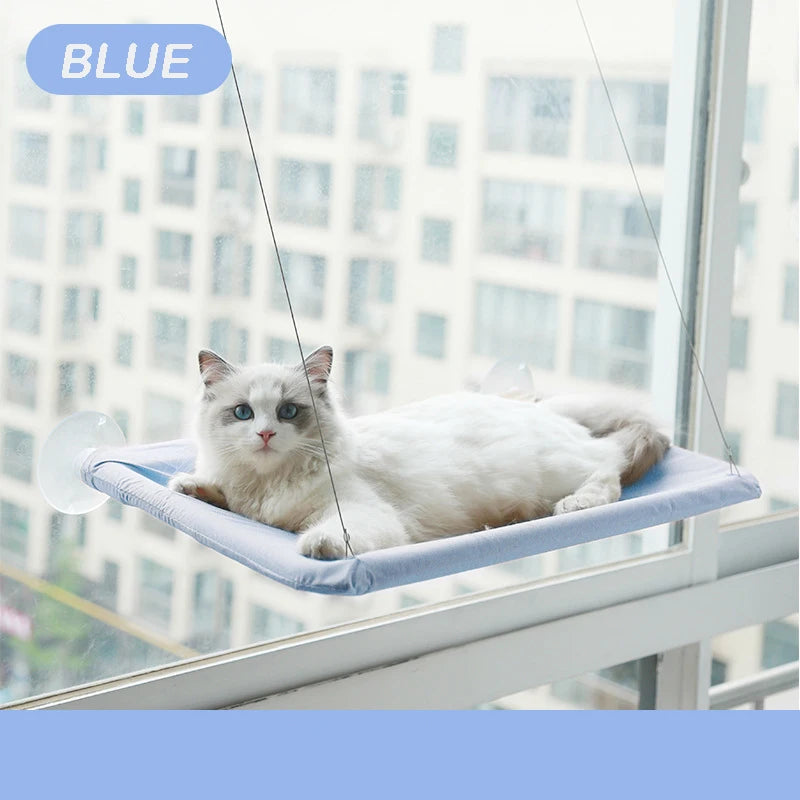 Cat lounging on a blue window hammock with a cityscape background