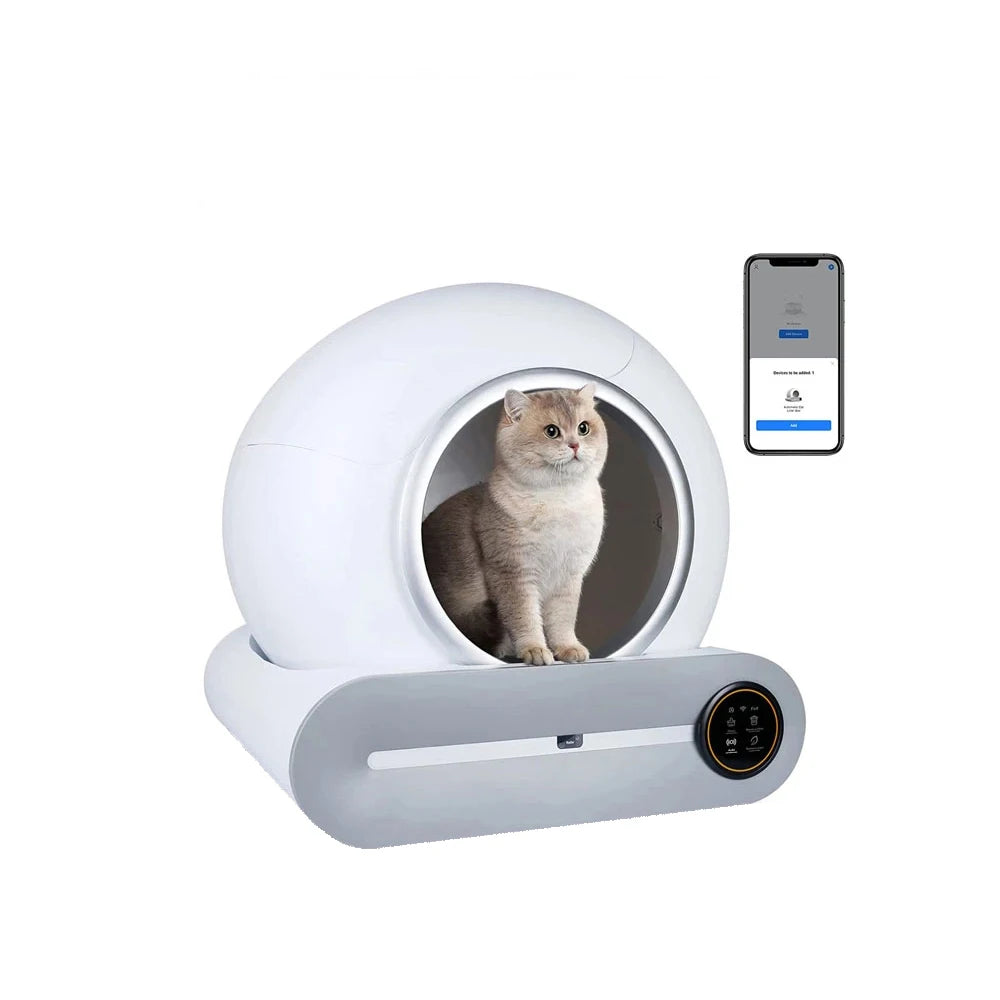Pet sphere with a cat inside and a smartphone app displayed on a white background