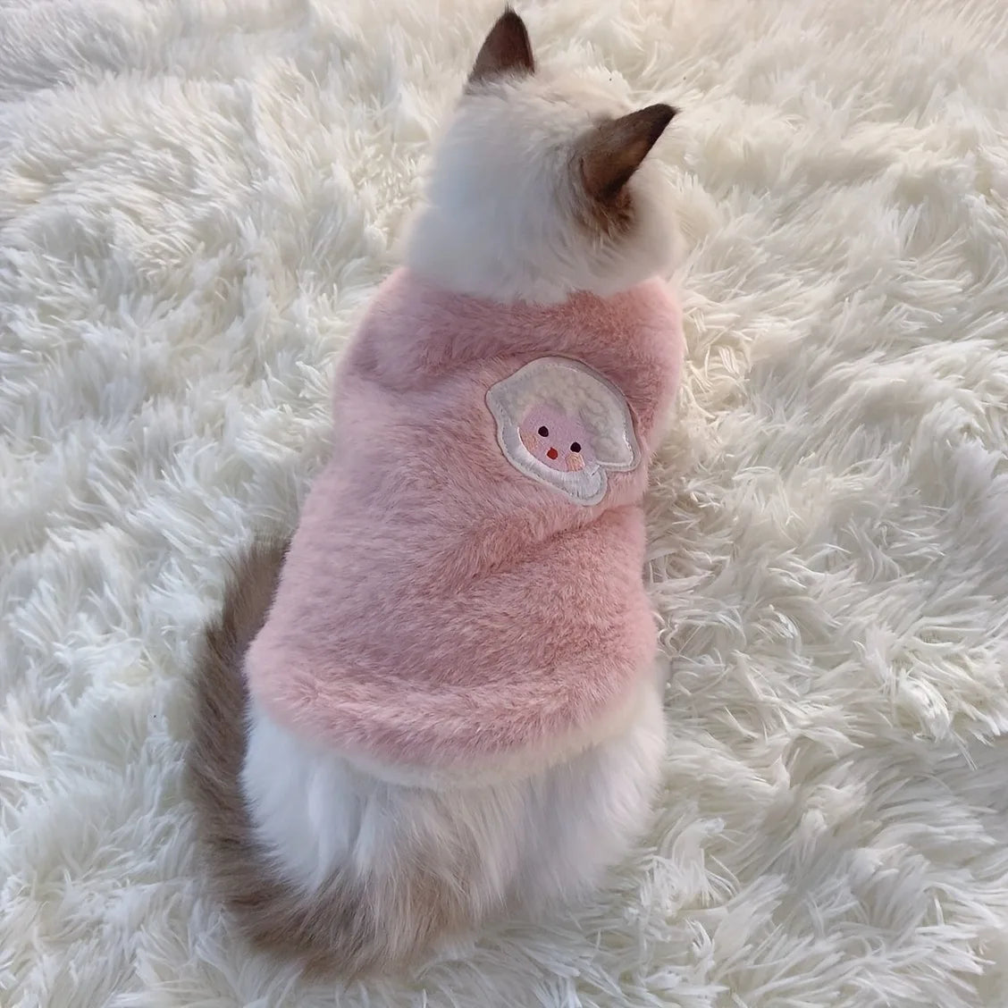 Cat wearing a pink fleece sweater with a heart design on a fluffy white surface