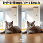 Comparison of a cat at 2K and 1080P resolutions with '3MP Brilliance, Vivid Details' text.